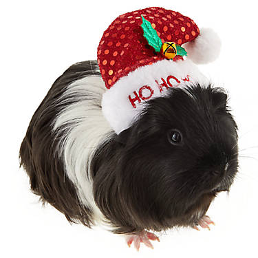 Illustration for article titled Christmas Ram - Update (more pics)